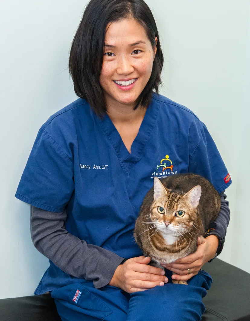 Nancy Neumann with cat at Battery Park Veterinary Hospital